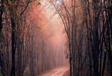 配资平台公司:配资平台是什么-突传重磅！人民币被多头盯上！离岸汇率是否会破7？